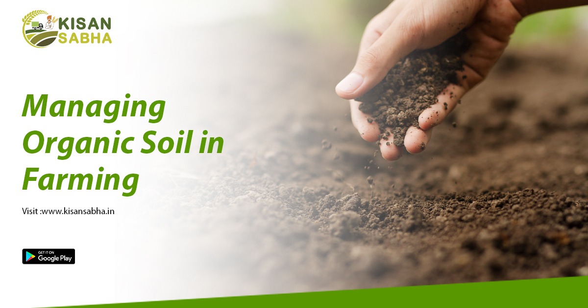 Managing Organic Soil in Farming