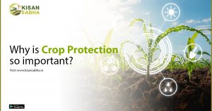 Read more about the article Why is Crop Protection so important?