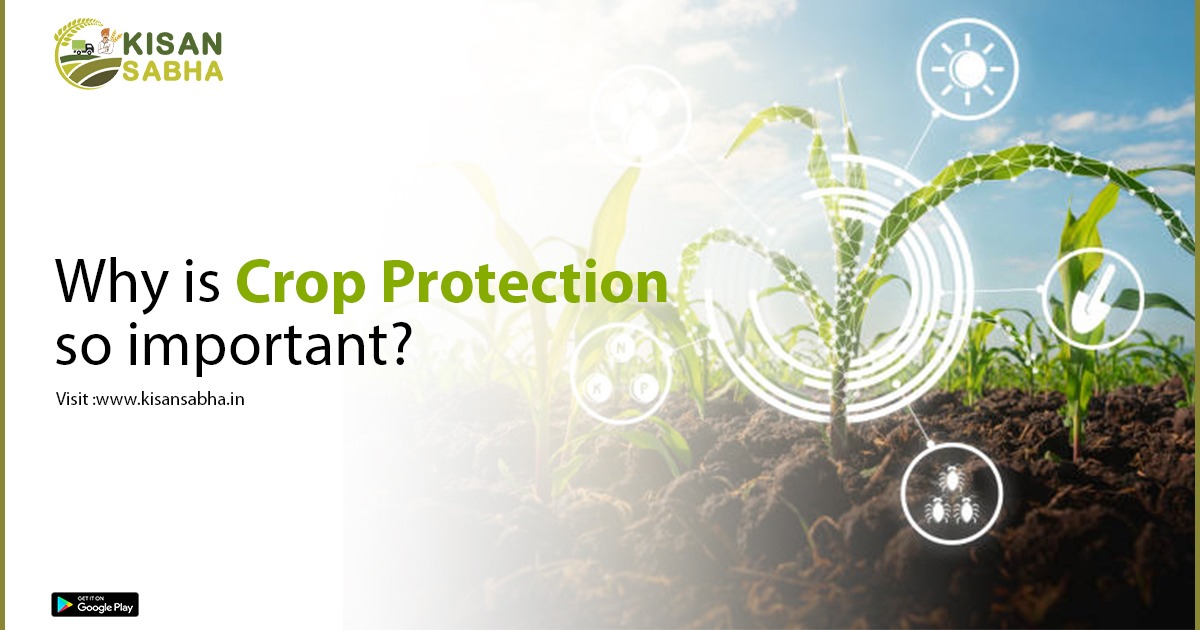 Why is Crop Protection so important?
