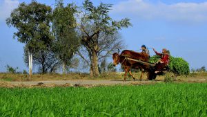 Read more about the article India’s farmers are on the cusp of an Agritech revolution: AgriStack