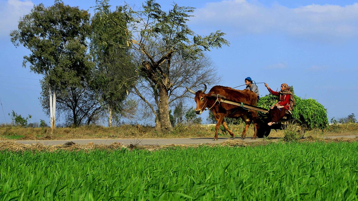 India's farmers are on the cusp of an Agritech revolution: AgriStack