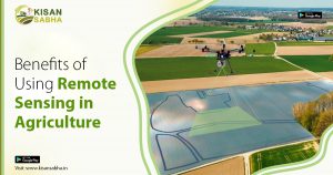 Read more about the article What is Remote Sensing?