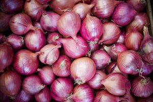 Read more about the article Onion Prices Could Dip Below Rs 40/kg By January, Food Ministry Official Tells Press