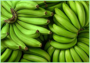 Read more about the article Going bananas: Prices rise to ₹30/kg from ₹18-20 in October