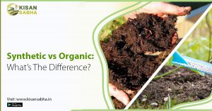 Read more about the article Synthetic vs. Organic: Understanding the Key Differences