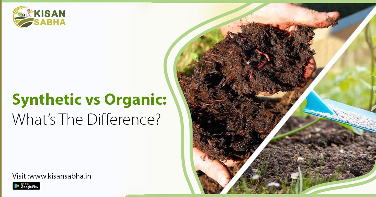 Synthetic vs. Organic: Understanding the Key Differences