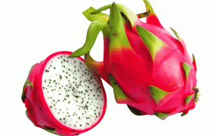 Read more about the article Bihar Announces 40% Subsidy for Dragon Fruit Cultivation