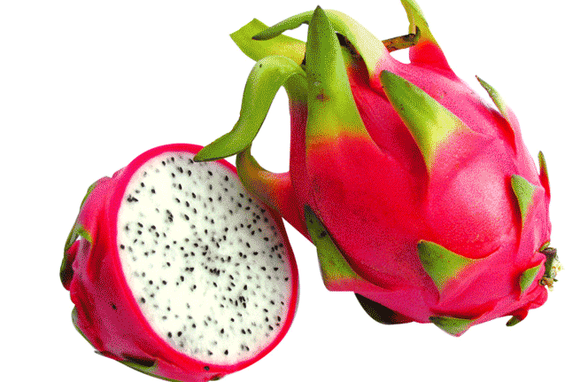Bihar Announces 40% Subsidy for Dragon Fruit Cultivation
