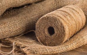 Read more about the article Mixed year for jute, govt provided relief for industry to bounce back