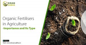 Read more about the article Organic Fertilisers in Agriculture- Importance and Its Type