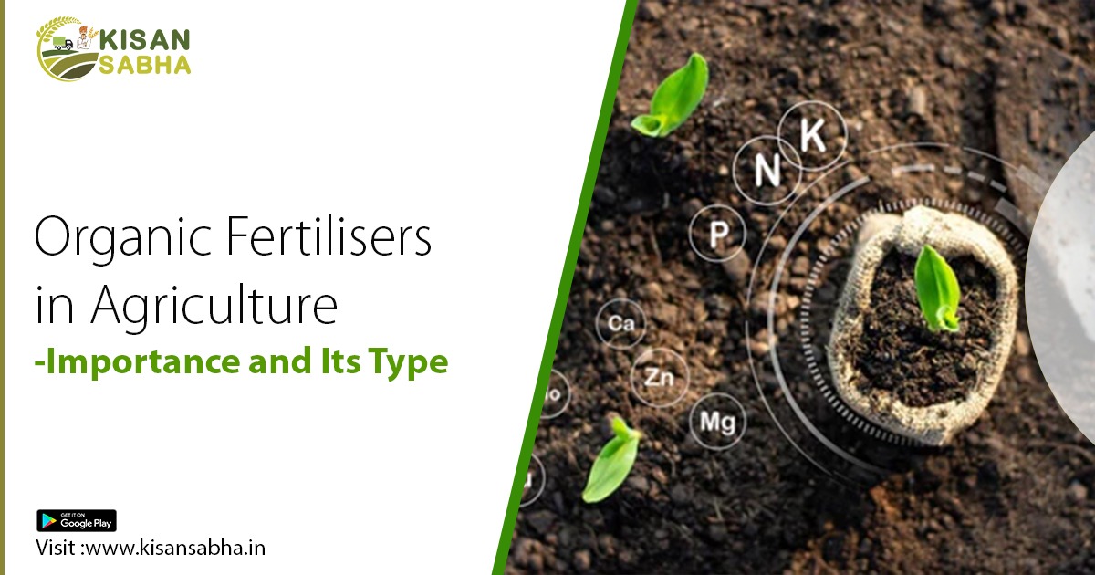 Organic Fertilisers in Agriculture- Importance and Its Type