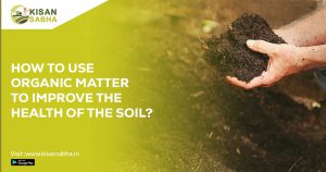 Read more about the article How to use organic matter to improve the health of the soil?