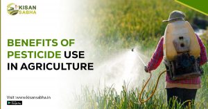 Read more about the article Benefits of Pesticide Use in Agriculture