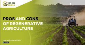 Read more about the article Pros And Cons Of Regenerative Agriculture