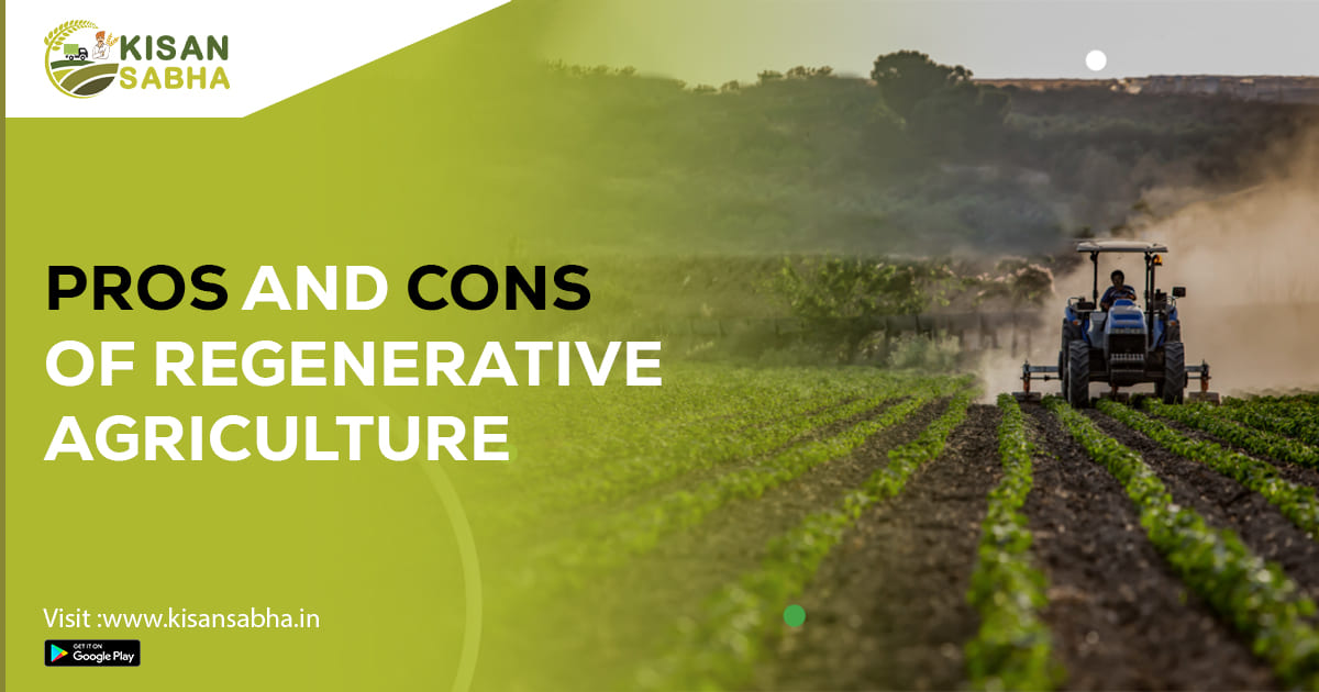 Pros And Cons Of Regenerative Agriculture