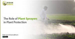 Read more about the article The Role of Plant Sprayers in Plant Protection
