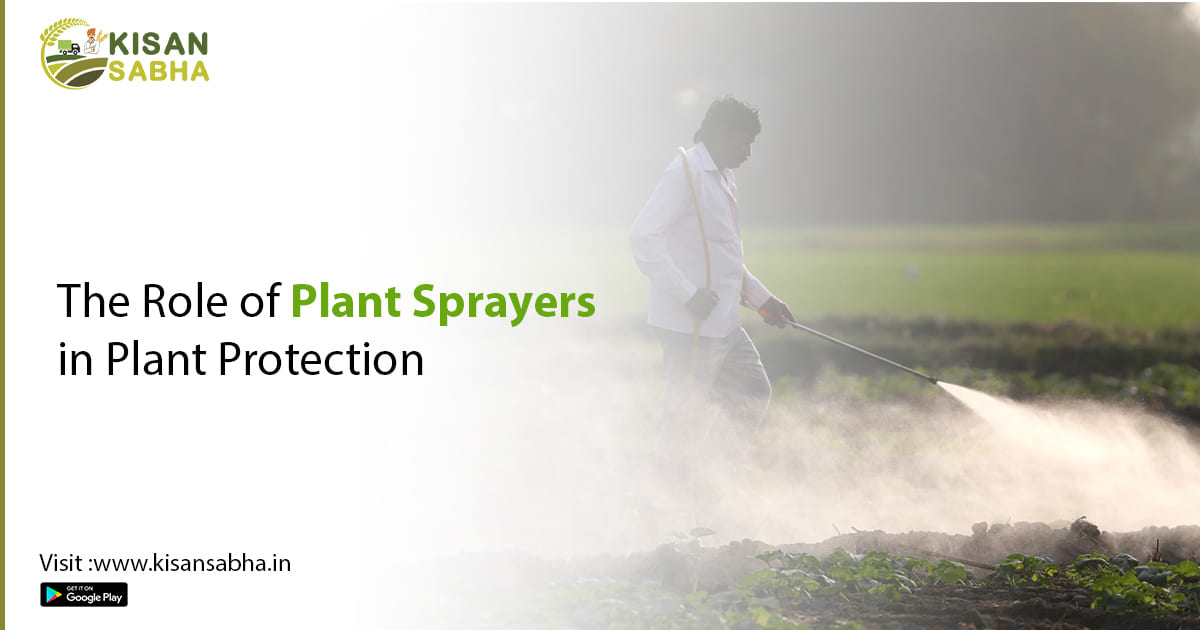 Plant Sprayers in Plant Protection