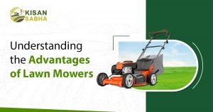 Read more about the article Understanding the Advantages of Lawn Mowers