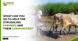 Read more about the article What Can You Do to Help the Struggling Farmers and Their Communities?