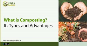 Read more about the article What is Composting? Its Types and Advantages