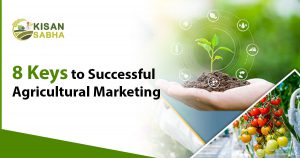 Read more about the article 8 Keys to Successful Agricultural Marketing