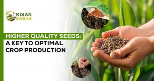 Read more about the article Higher Quality Seeds: A Key to Optimal Crop Production