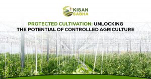 Read more about the article Protected Cultivation: Unlocking the Potential of Controlled Agriculture