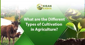 Read more about the article What are the Different Types of Cultivation in Agriculture?