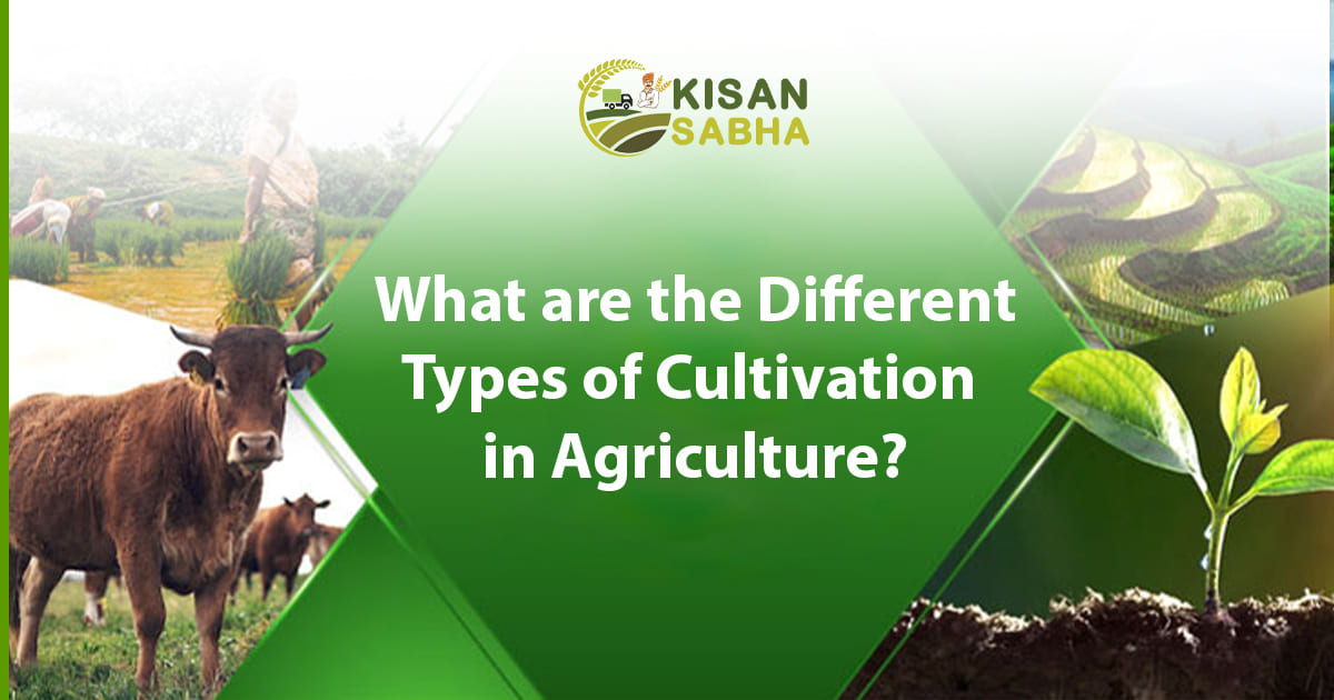 different types of cultivation in agriculture