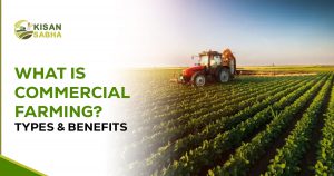 Read more about the article What is Commercial Farming? Types and Benefits