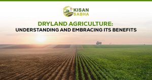 Read more about the article Dryland Agriculture: Understanding and Embracing its Benefits