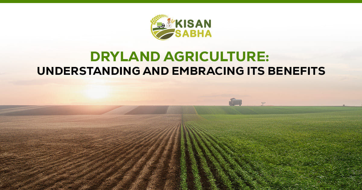 dryland agriculture