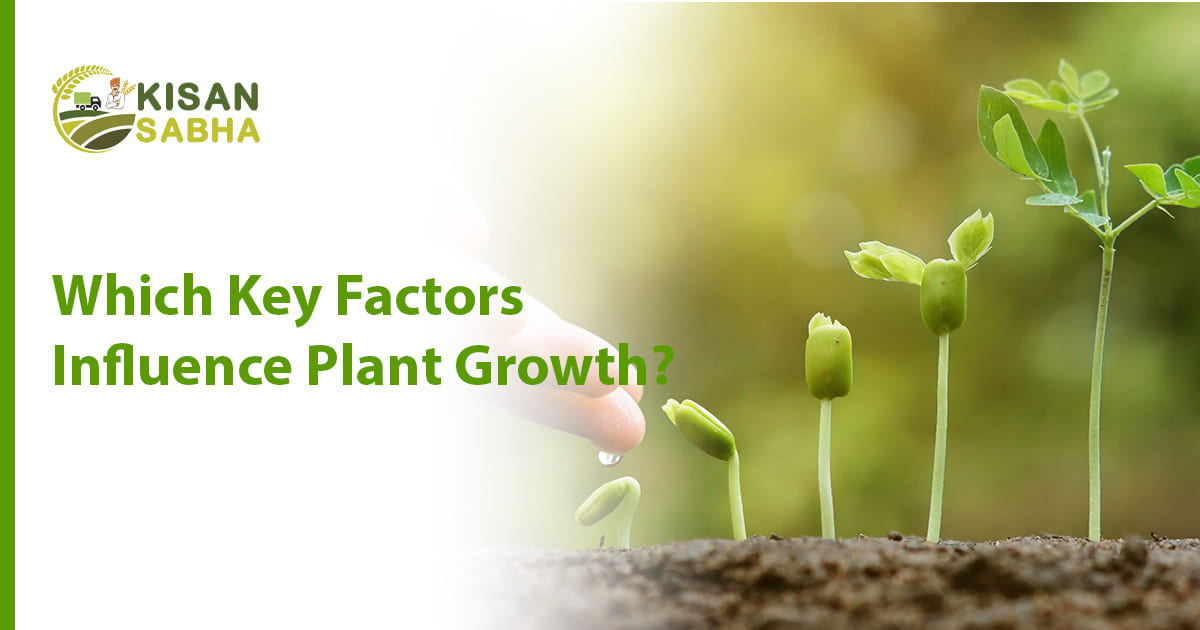 factors of plant growth
