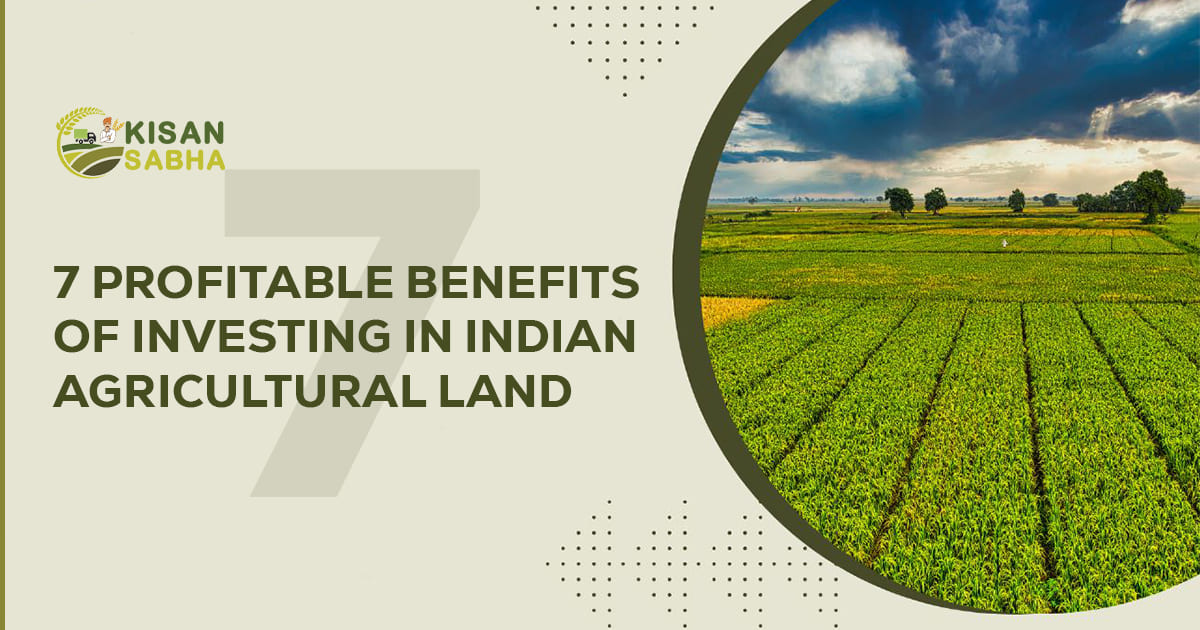 Read more about the article 7 Profitable Benefits of Investing in Indian Agricultural Land