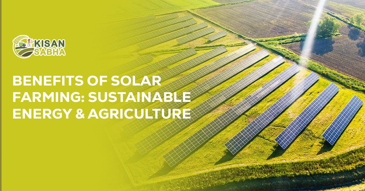 Read more about the article Benefits of Solar Farming: Sustainable Energy & Agriculture