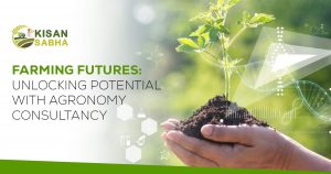 Read more about the article Farming Futures: Unlocking Potential with Agronomy Consultancy