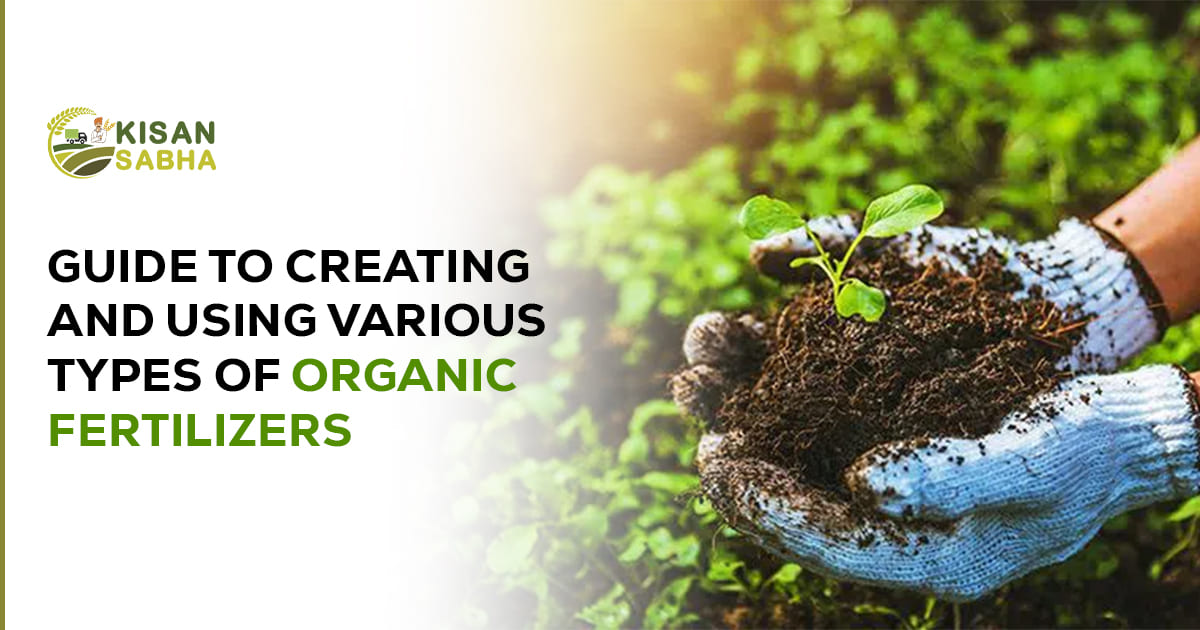 Read more about the article Guide to Creating and Using Various Types of Organic Manure