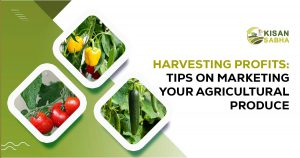 Read more about the article Harvesting Profits: Top Tips on Marketing Your Agricultural Produce