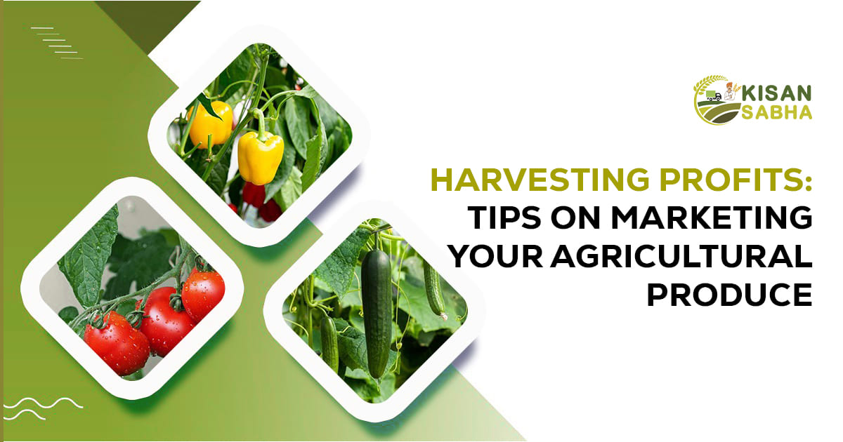 Read more about the article Harvesting Profits: Top Tips on Marketing Your Agricultural Produce