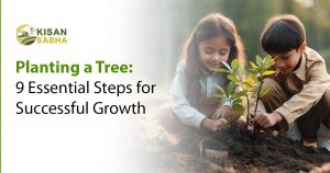 Read more about the article Planting a Tree: 9 Essential Steps for Successful Growth