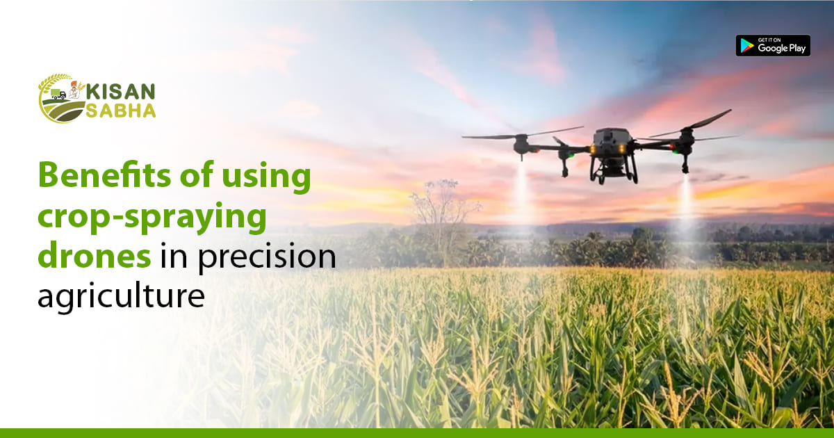 Read more about the article Benefits of Using Crop-Spraying Drones in Precision Agriculture