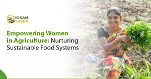 Read more about the article Empowering Women in Agriculture: Nurturing Sustainable Food Systems