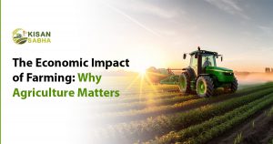 Read more about the article The Economic Impact of Farming: Why                Agriculture Matters