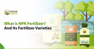Read more about the article What is NPK Fertilizer? And Its Fertilizer Varieties