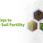 7 Easy Ways to Enhance Soil Fertility