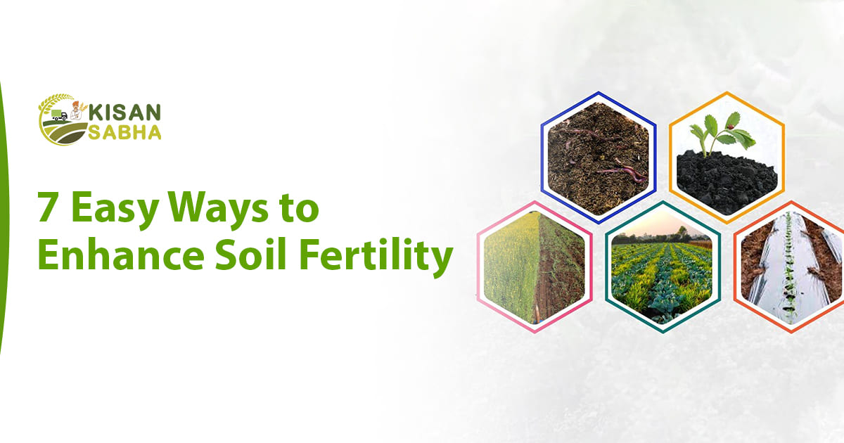 Read more about the article 7 Easy Ways to Enhance Soil Fertility