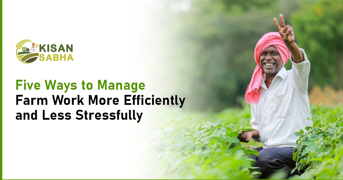 Read more about the article Five Ways to Manage Farm Work More Efficiently and Less Stressfully