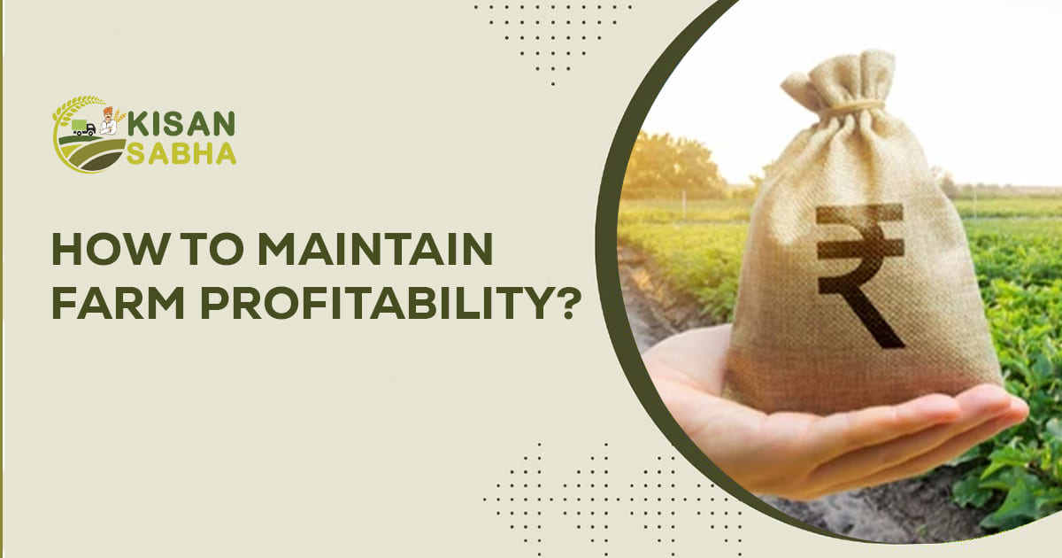 Read more about the article How to Maintain Farm Profitability?
