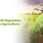 Plant Growth Regulators in Precision Agriculture: The Future