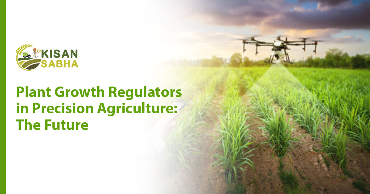 Read more about the article Plant Growth Regulators in Precision Agriculture: The Future